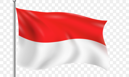 Indonesia’s membership in DIFA is accepted!